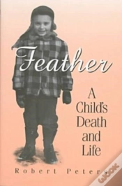 Capa do artigo Feather