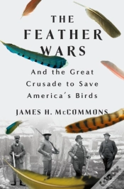 Capa do artigo Feather Wars