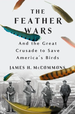 Capa do artigo Feather Wars