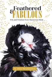 Capa do artigo Feathered & Fabulous