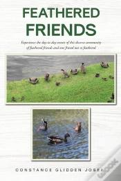 Capa do artigo Feathered Friends