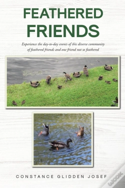 Capa do artigo Feathered Friends