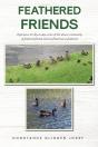 Feathered Friends - Preview