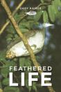 Feathered Life - Preview