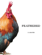 Feathered - Preview