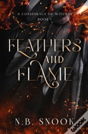 Capa do artigo Feathers And Flame