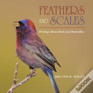 Feathers And Scales