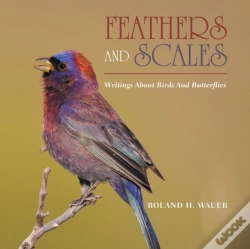 Capa do artigo Feathers And Scales