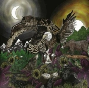 Capa do artigo Feathers & Flesh - Vinil