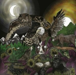 Capa do artigo Feathers & Flesh - Vinil