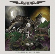 Capa do artigo Feathers & Flesh - Vinil