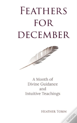 Capa do artigo Feathers For December