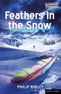 Feathers In The Snow - Preview