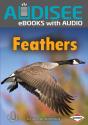 Feathers - Preview