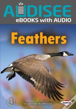 Capa do artigo Feathers