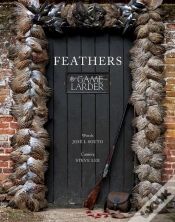 Capa do artigo Feathers