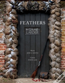 Capa do artigo Feathers