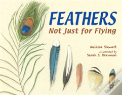 Feathers