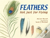 Capa do artigo Feathers