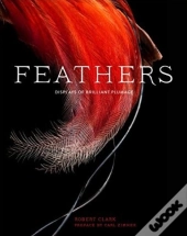 Feathers