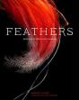 Feathers - Preview