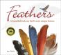 Feathers - Preview
