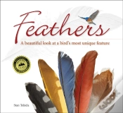 Capa do artigo Feathers