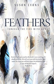 Capa do artigo Feathers