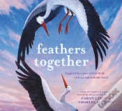 Capa do artigo Feathers Together