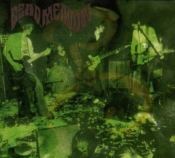 Capa do artigo Feathers - Vinil