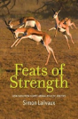 Feats Of Strength - Preview