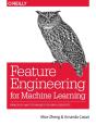 Feature Engineering For Machine Learning - Preview