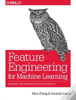 Capa do artigo Feature Engineering For Machine Learning
