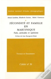 Fécondité Et Famille En Martinique : Faits, Attitudes Et Opinions