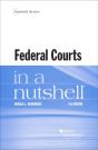 Federal Courts In A Nutshell - Preview