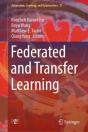 Federated And Transfer Learning - Preview