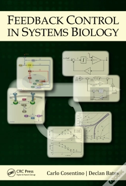 Capa do artigo Feedback Control In Systems Biology