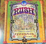 Capa do artigo Feedback - Vinil