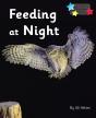 Feeding At Night - Preview
