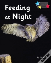 Capa do artigo Feeding At Night