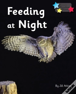 Capa do artigo Feeding At Night