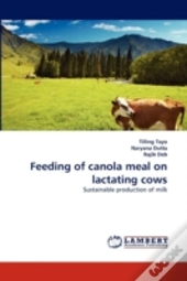 Feeding Of Canola Meal On Lactating Cows