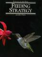 Feeding Strategy - Preview
