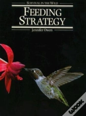 Feeding Strategy