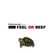 Capa do artigo Feel Or Beef - CD