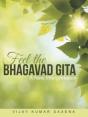 Feel The Bhagavad Gita: A New Interpreta - Preview