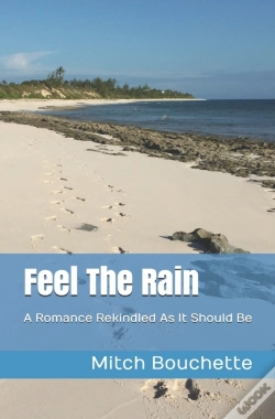 Capa do artigo Feel The Rain