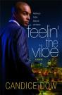 Feelin' The Vibe - Preview