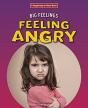 Feeling Angry - Preview