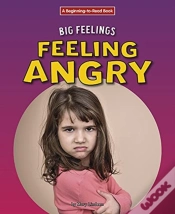 Capa do artigo Feeling Angry